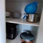 Sunrise Parrot Oasis *